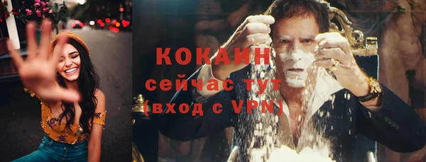 мескалин Богородицк