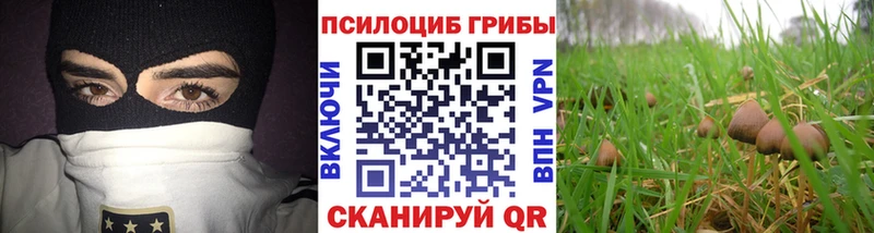 наркотики  Волгореченск  Псилоцибиновые грибы мухоморы 